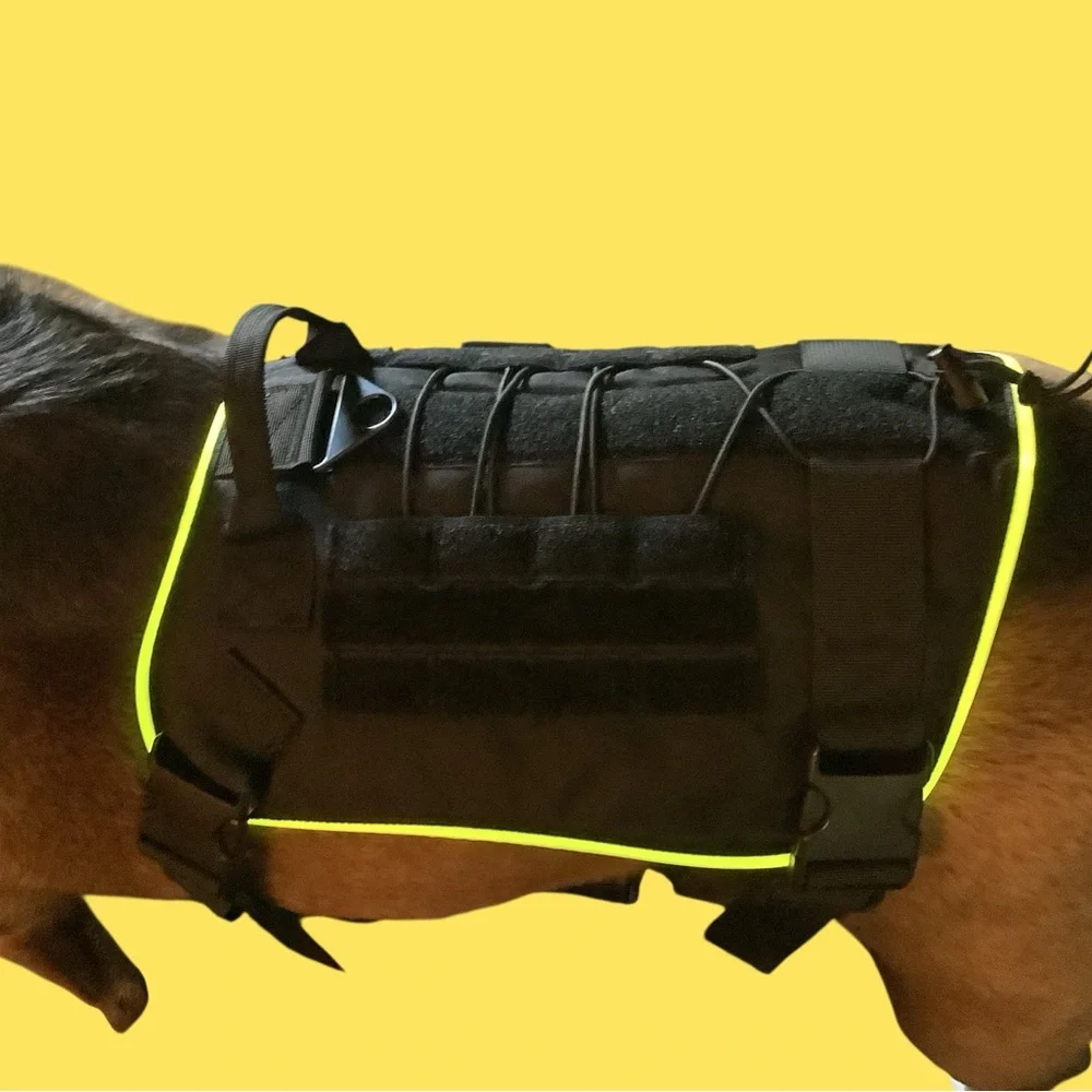 LED Light Up Dog Harness - 3 Glowing modes, 5 colors. Easy on and off. NEW